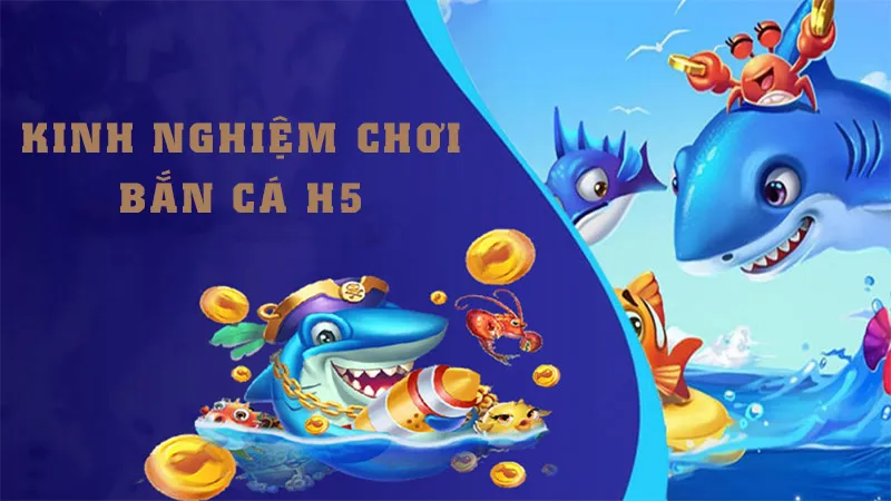 Kinh nghiệm chơi bắn cá H5 từ cao thủ